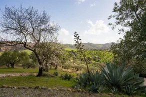 Country house in Casarabonela - Image 4