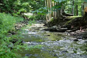 Cozy Creekside Cabin | 5 Mins to Windham Mt! - Image 4