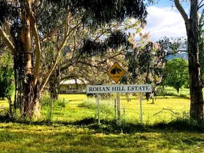 Rohan Hill - Image 2