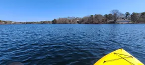 Updated, Cozy Cape Home, 5 min Walk to Long Pond - Image 5