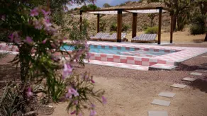 Stay Wyld Desert, Checkered Pool & Hot Tub - Image 5