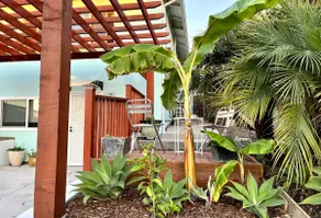 Elegant 1BD/FullBth & AC Terrace Point Berkeley - Image 3