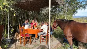 The IpPocentro Shelter | 5' Equestrian Center - Image 5