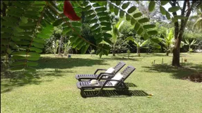 Room at Finca Cacique- Jungle and Sea - Image 3