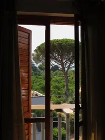 The pine cone of the Aci Apartment - Image 3