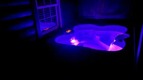 Waterfront Cabin with Hot Tub - Image 4