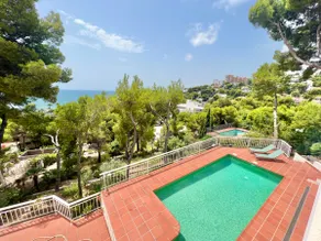 Beautiful Villa surrounded by pine trees with ocean views - Image 3