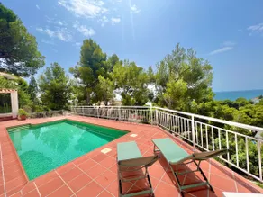 Beautiful Villa surrounded by pine trees with ocean views - Image 4