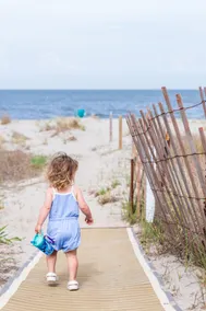 7 Night/Private Beach Path/Dock/Ramp/Dog Friendly - Image 4