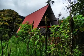 Upper floor, cabin in Mindo-Ecuador - Image 2