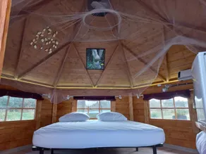 Unusual kota grill accommodation - Image 3