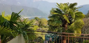 House with a view - Image 2