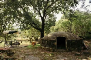 Apapacho Loft Cabin - Image 5