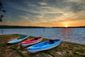 2 Acre Private Lakefront House & Cabin w/ Dock & Kayaks - Image 3