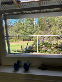 Coolbardie Springs Denmark - Retreat on Peace St! - Image 4