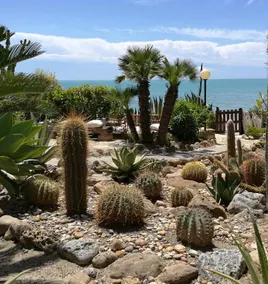 Garden by the Sea - Image 5