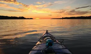 Baydream Believer -Chesapeake Bay water community - Image 4