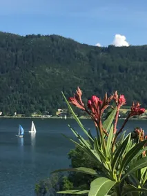 DeliApart Ossiacher See - Image 2
