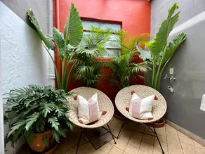 Paradise for couples w/terrace, steps from Condesa - Image 2