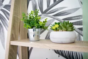 Le TropiCool - Image 3