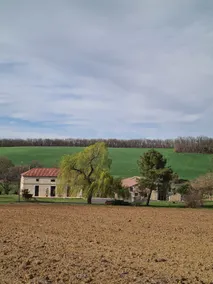 Country house - Image 2