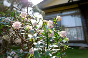 Izu no Yado Shizumi, large 1 building rental, 5 minutes from station and sea, parking available, max 16 people, BBQ exclusive area, Izu sightseeing - Image 4