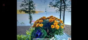 Buckeye Cottage/Lake front/yr round water access - Image 4