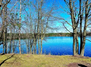 Lakefront! Pine Cone Cottage on Lake McKinley NEW - Image 2