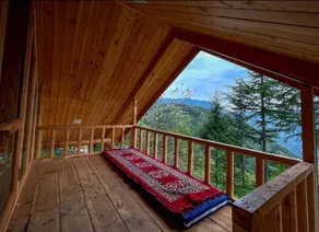 Himalayan Cedar Nest - Image 3
