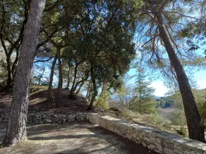 Small house under the pine forest! - Image 2