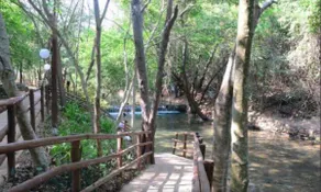Natural hot water river. Hotpark on foot - Image 3