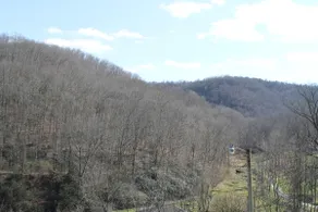 Holler Ridge 3BR 2Bath New River National Park - Image 4
