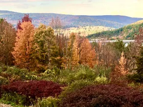 Escape this summer! Book a secluded mountain home - Image 3