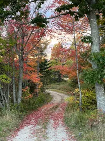 Whitaker Farmhouse - Image 4