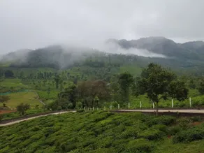 Ibex Resorts, Kotagiri - Image 3