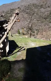 In the quiet of the Cevennes - Image 4