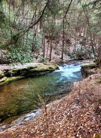 Hilltop Hideaway - Image 5