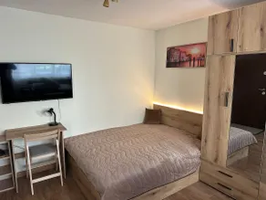Green Park Apartment - Brand New Studio! - Image 4