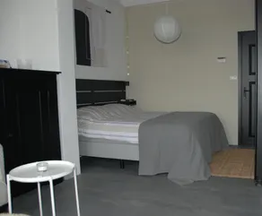 Studio Io Vivo - Image 4