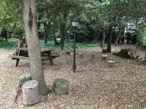 Dream cabin in the woods and by the sea - Image 4