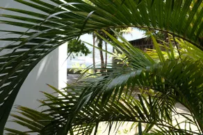 Quinta Sandino - Lake Nica Beach House (Granada, Nicaragua) - Image 5