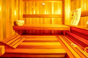 HUGE HOUSE Sleeps 22 Indoor Pool/hottub/gym/sauna - Image 4