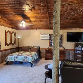 Bowman Pond Cabin, spacious 1 bdrm open floor plan - Image 3
