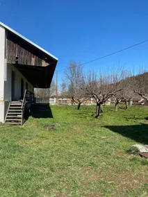 House in a secluded location - Image 3