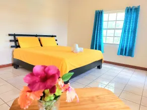 Villa Anita - colorful & spacious, Orange Bay, JA - Image 3