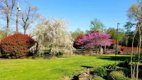 Sneathen's Mill - Historic Lake Front Home - Image 3