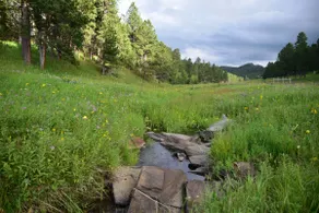French Creek Farm - Image 5