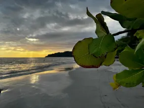 Flip-Flop Fiestas Flats, Heart of Manuel Antonio - Image 5