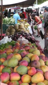 Flip-Flop Fiestas Flats, Heart of Manuel Antonio - Image 2