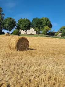 Country home with panoramic south-facing view - Image 3